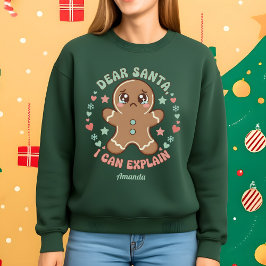Sudadera Querido Santa, Puedo Explicar Navidad Divertida