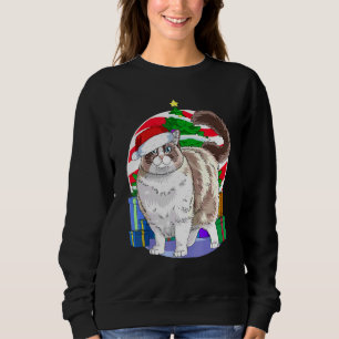 Sudadera Ragdoll Cat Santa Christmas Tree Decour
