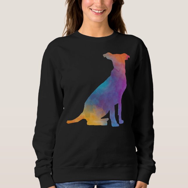 Sudadera Rainbow Pitbull (Anverso)