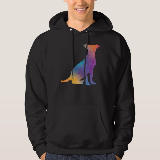 Sudadera Rainbow Pitbull (Anverso)