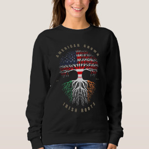 Sudadera Rasgos irlandeses cultivados norteamericanos bande