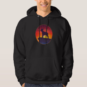 Sudadera Raza de perro Terrier de Boston  23