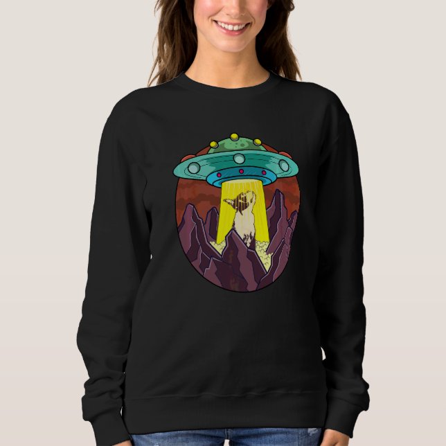 Sudadera Raza de perro Terrier de Boston  73 (Anverso)