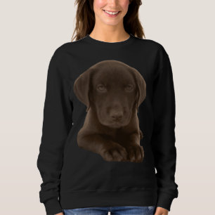 Sudadera Recuperación de Labrador de chocolate