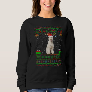 Sudadera Reindeer Santa Hat coincidiendo con Labradoodle Ch