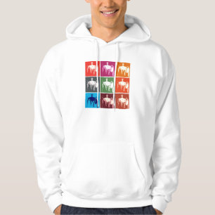 Sudadera Resumen conmemorativo de Lincoln