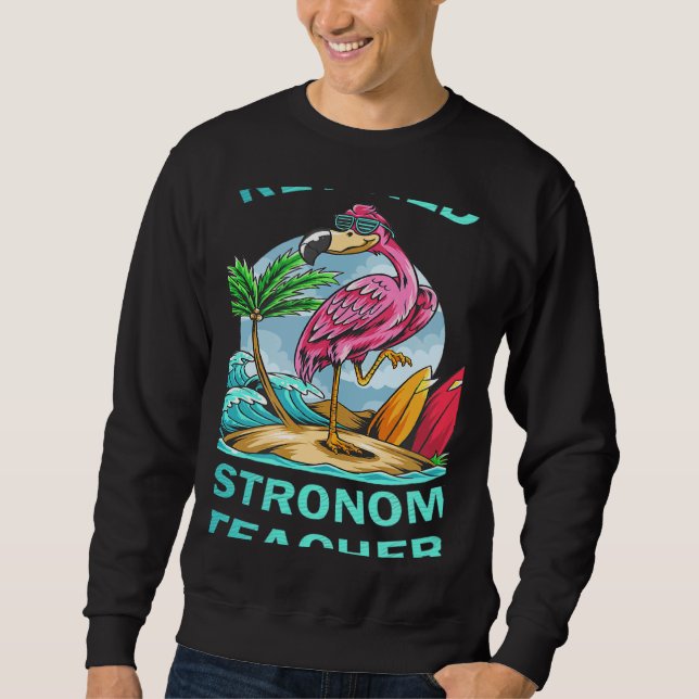 Sudadera Retired Astronomy Teacher Flamingo (Anverso)