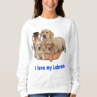 Retriever de Labrador