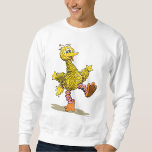 Sudadera Retro Art Big Bird