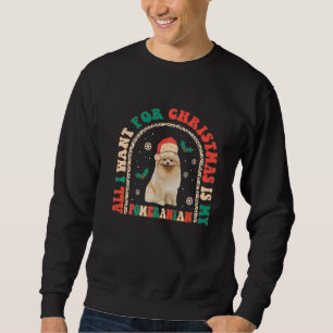 Sudadera Retro Todo lo que quiero para los Navidades es mi