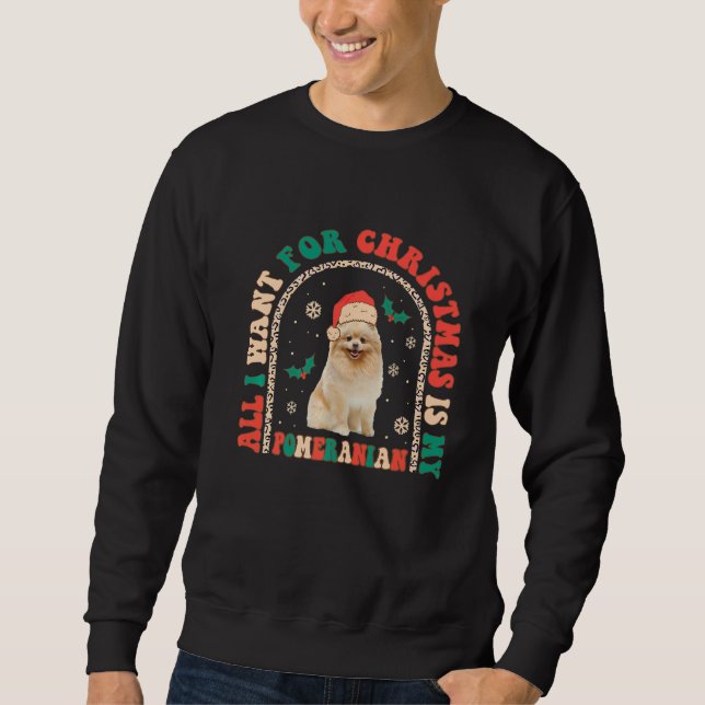 Sudadera Retro Todo lo que quiero para los Navidades es mi  (Anverso)