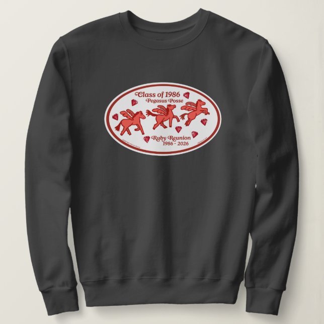 Sudadera Reunión de Rubí del Pelotón de Pegasus (Anverso del diseño)
