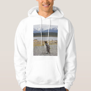 Sudadera Rey pingüino, Isla Martillo, Tierra del Fuego