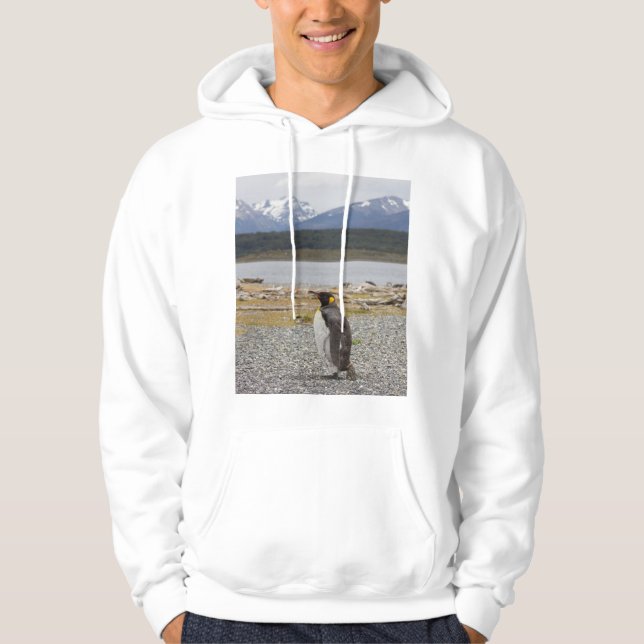 Sudadera Rey pingüino, Isla Martillo, Tierra del Fuego (Anverso)