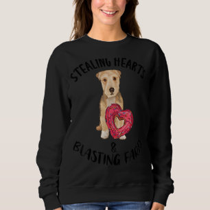 Sudadera Robando corazones volando a los Farts Lakeland Ter