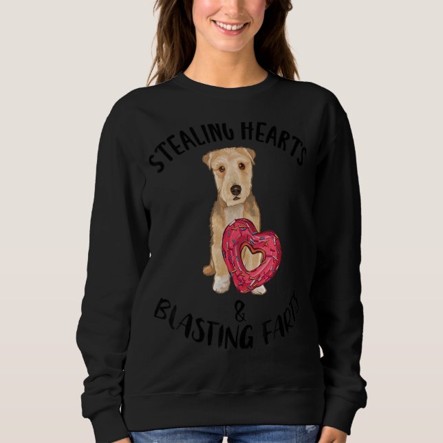 Sudadera Robando corazones volando a los Farts Lakeland Ter (Anverso)
