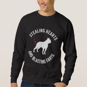 Sudadera Robar Corazones Y Golpear A Los Faros Boston Terri