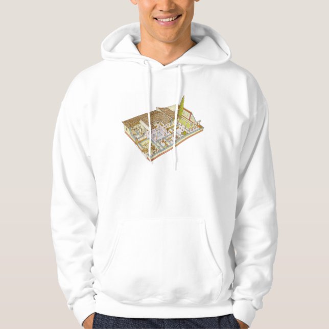 Sudadera Roma. Domus (Anverso)