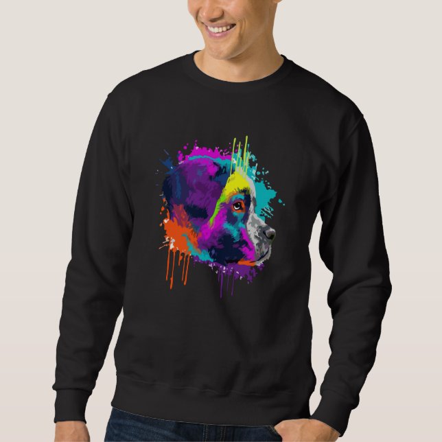 Sudadera San Bernardo Para Perro Colorido (Anverso)