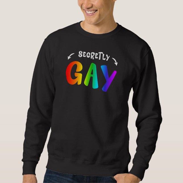 Sudadera Secretamente Gay Lgbt Orgullo Arcoiris 1 (Anverso)