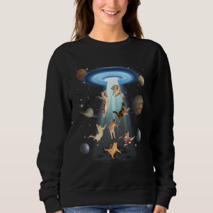Sudadera Secuestro Alien Cat Platillo Volador Ovni