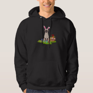 Sudadera Semana Santa Caza de Huevo conejito Gato Balinés P