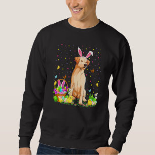 Sudadera Semana Santa Caza De Huevos Labrador De Perro Pasc
