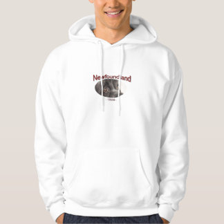 Sudadera Señor Byron Quote de Terranova