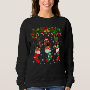 Sudadera Sepulturero Irlandés En Sock Xmas Reindeer Santa E