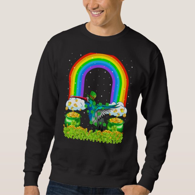 Sudadera Shamrock Rainbow Leprechaun Hummingbird St Patrick (Anverso)