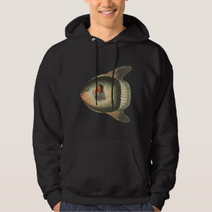 Sudadera Shaw Short Sun Fish Ilustracion