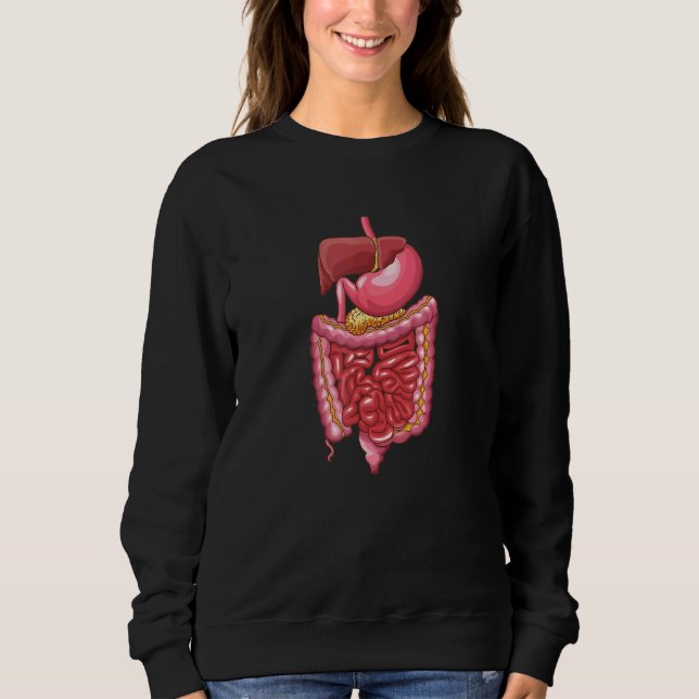 Sudadera Sistema digestivo Anatomía Anatomía Enseñanza de B (Anverso)