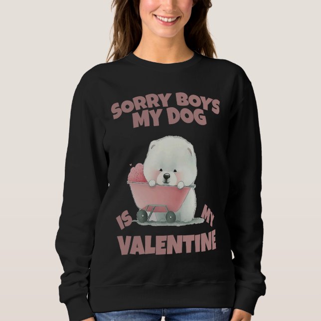 Sudadera Sorry Boys My Dog Is My Valentine  Dog   19 (Anverso)