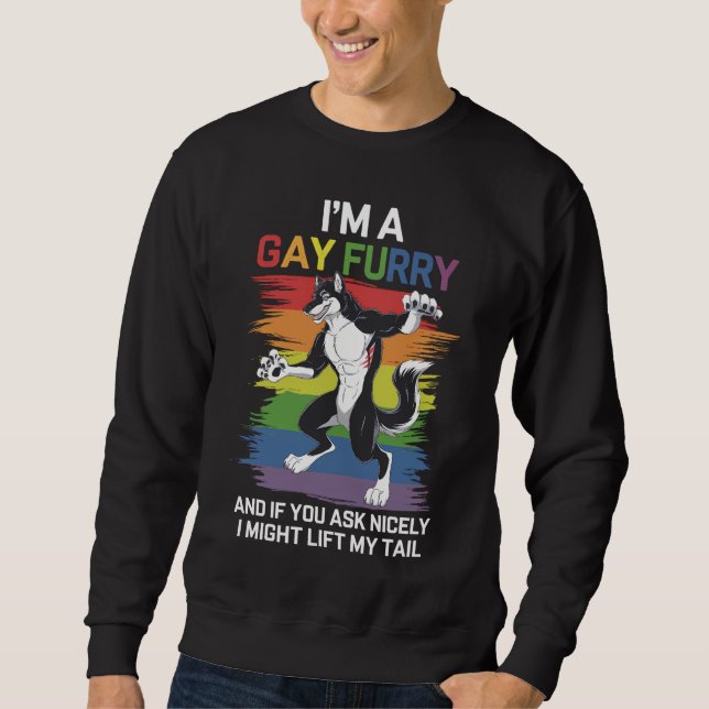 Sudadera Soy un orgullo LGBTQ gay Furry Fox Rainbow (Anverso)