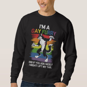 Sudadera Soy un zorro furry gay de arcoíris Orgullo LGBTQ