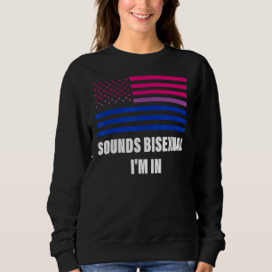 Sudadera Suena Bisexual Estoy En La Bandera Bisexual Lgbt G