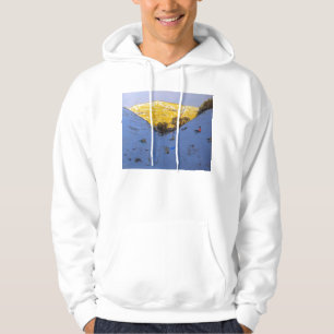 Sudadera Sun y nieve 2007
