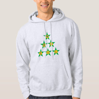 Sudadera Sweat à capuche cendre  DESIGN  ETOILES  BRAZIL