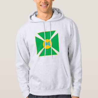 Sudadera Sweat à capuche cendre homme BRAZIl