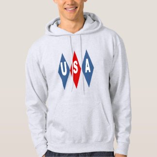 Sudadera Sweat à capuche cendre  homme  DESIGN  USA 