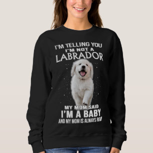 Sudadera Te Digo Que No Soy Un Perro Labrador Recuperador
