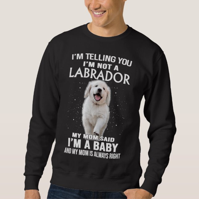 Sudadera Te Digo Que No Soy Un Perro Labrador Recuperador (Anverso)
