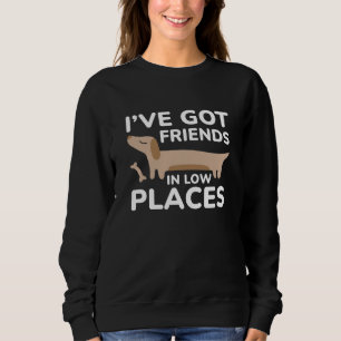Sudadera Tengo amigos en lugares bajos