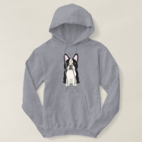 Terrier de Boston