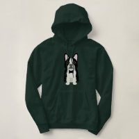 Terrier de Boston 