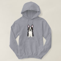 Terrier de Boston