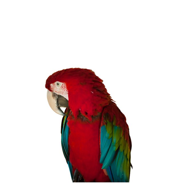 Sudadera This elegant t-shirt design (Subido por el creador)