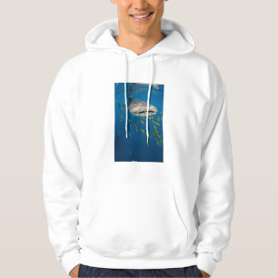 Sudadera Tiburón ballena con peces, Indonesia
