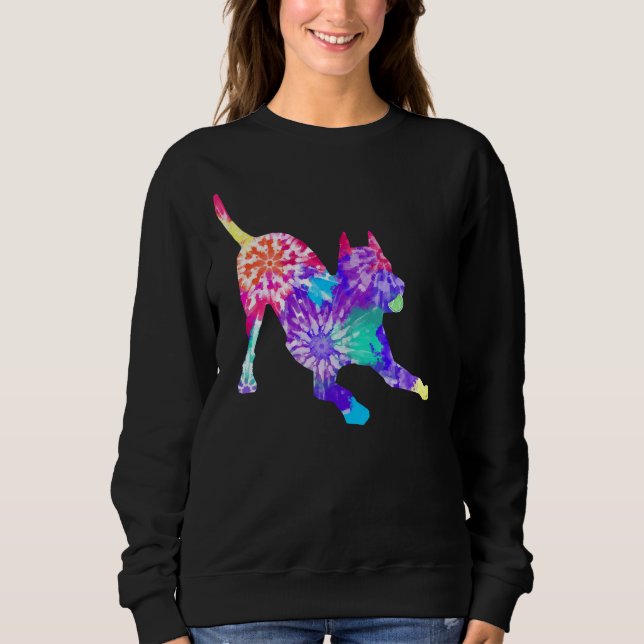 Sudadera Tie Dye Pitbull Play Bow (Anverso)