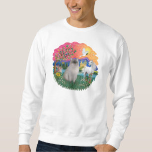 Sudadera Tierra de fantasías (ff) - gato de Ragdoll (punto